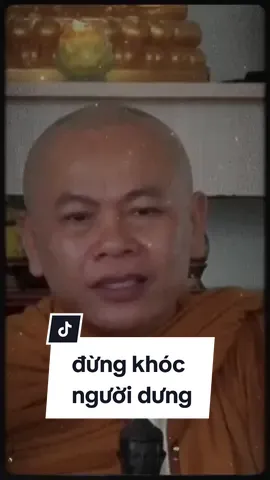 nước mắt này chỉ có thể khóc vì Cha Mẹ thôi... #daoly #suminhdao #thichminhdao #maucapcut #chame #mau1anh 
