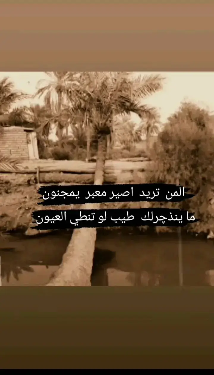 #محظور_من_الاكسبلور🥺  #فاگد_ولف💔 #عبارتكم_فخمة🖤💉🥀 #شعراء_وذواقين_الشعر_الشعبي #fyp #دارميات #ابوذيات 