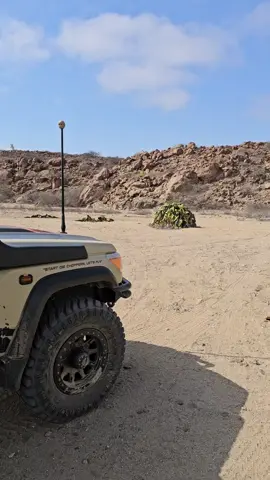 The biggest Welwitschia in the world. This johnie is thousands of years old... #welwitchia #angola #trans_africa_tours #tasda #Bushtechcanopies #ironman4x4africa #leatherandcanvas #onca #maxxistyres #skinsoothe #m_tech_communications #4x4_assist #manuprum #transafricatours #tasafaris #overlanding #offthebeatentrack #bushlife #blessed  #wanderlust #travel #africa  #ubuntoe #maxxis  #diekiaatbraaiplank1 #BushtechLife #tours #adventure #offthebeatentrack #blessedlife 