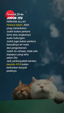#fyp #storywa #katakata #selfreminder 