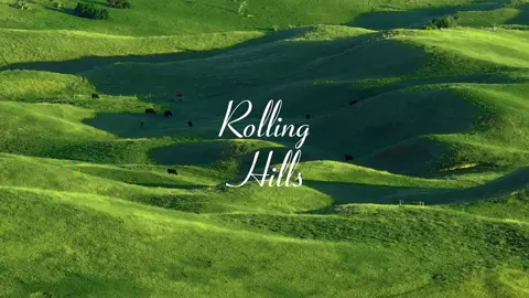 Rolling Hills in Melbourne: Discover Melbourne's hidden gem, where rolling hills stretch as far as the eye can see 🌊 and vast grasslands 🌿 are dotted with cows grazing peacefully 🐄. The sunlight dances across the green pastures, casting a golden glow 🌞, while shifting shadows paint a living masterpiece 🎨 on the landscape. This stunning scenery offers a slice of tranquility without the need for long travels 🚶‍♂️. Whether you're basking in the fresh morning light or enjoying the warm evening glow 🌅, every moment here feels like poetry in motion, leaving you absolutely enchanted 💫. Come and explore Melbourne's breathtaking grasslands and immerse yourself in the serene beauty of nature 🌟! #Melbourne #Grasslands #RollingHills #NatureLovers #ScenicViews #TravelAustralia #DiscoverMelbourne #PeacefulNature #GoldenHour #TranquilMoments