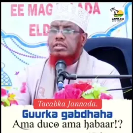 #Guurku qasab ma ahan waalidkuna gabadhiisa nin aysan rabin kuma qasbikaro lakiin talo ayuu kuleeyahay.#viral #Tiktok #pyfツ #follow 