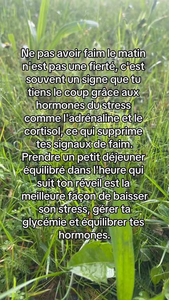 Peut-être que tu te sens pas stressée mais ton corps te dit peut-être l'inverse. Manger un petit dei (meme si c'est petit) dans heure qui suit ton réveil va baisser ton stress et soutenir ton système nerveux #cortisol #stress #gererlestress #pertedepoids #petitdej 