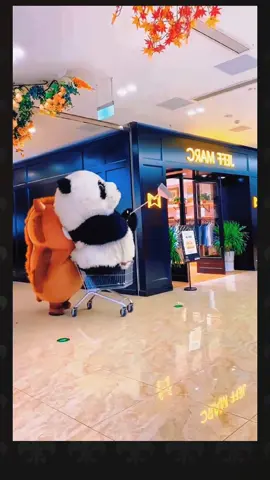 #funnyvideos #funny #funnyanimals #comedyvideos #comdy #lucu #fyp #fypシ #foryou #xuhuong 
