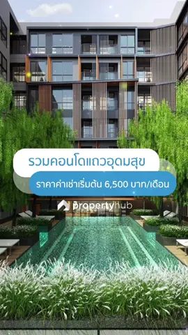 รวมคอนโดแถวอุดมสุข ราคาค่าเช่าเริ่มต้น 6,500 บาท/เดือน ✨ | #Propertyhub #คอนโด #หาคอนโด #เช่าคอนโด #คอนโดปล่อยเช่า #ซื้อคอนโด #คอนโดมือสอง #คอนโดพร้อมอยู่ #คอนโดใกล้รถไฟฟ้า #คอนโดติดรถไฟฟ้า #คอนโดสวย #หาคอนโด #หาคอนโดเช่า #คอนโดเช่า #เช่าคอนโดใกล้รถไฟฟ้า #เช่าคอนโดกรุงเทพ #คอนโดปล่อยเช่า #เช่าคอนโดติดรถไฟฟ้า #ขายคอนโดติดรถไฟฟ้า #ซื้อคอนโดติดรถไฟฟ้า #ปล่อยเช่าคอนโด #ปล่อยเช่าคอนโดติดรถไฟฟ้า  #เช่าคอนโดติดรถไฟฟ้า #ขายคอนโดติดรถไฟฟ้า #หาเช่าคอนโดติดรถไฟฟ้า #foryou #fyp #fypシ #fypシ゚viral #อัปเดตใหม่ #tb #คอนโดให้เช่าติดรถไฟฟ้า #ซื้อขายคอนโดตามแนวรถไฟฟ้า #คอนโดตามแนวรถไฟฟ้า #หาเช่าคอนโดใกล้รถไฟฟ้า #คอนโดอุดมสุข #คอนโดอุดมสุขราคาถูก #เช่าคอนโดอุดมสุข #ปล่อยเช่าคอนโดอุดมสุข #คอนโดแถวอุดมสุข #คอนโดย่านอุดมสุข #หาคอนโดแถวอุดมสุข #อุดมสุข #เช่าคอนโดอุดมสุข #คอนโดใกล้bts #คอนโดใกล้btsอุดมสุข 