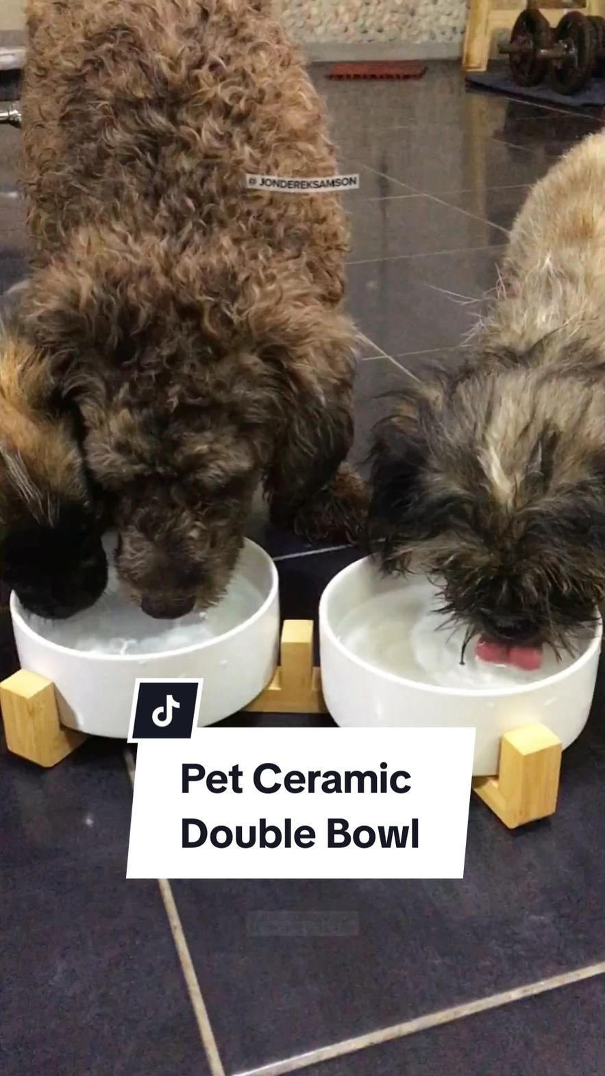 Pet Ceramic Double Bowl #petceramicbowl #feedingbowl #ceramicbowl #doubleceramicbowl #petbowl #petfeeder #dogbowl #petfoodbowl #dogsoftiktok #doglover 