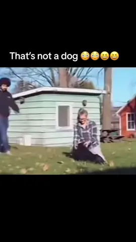 #fyppppppppppppppppppppp #😅😅😅😅😅😅😅😅😅😅 #💀💀💀💀💀💀💀💀💀💀 