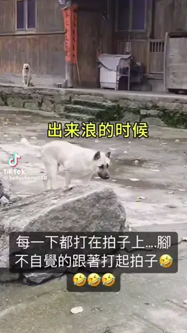 its funny if you understand cantonese 😃  have some laugh 😃 #tiktokgor6 #hongkong #cantonese #song #drinkbeer 