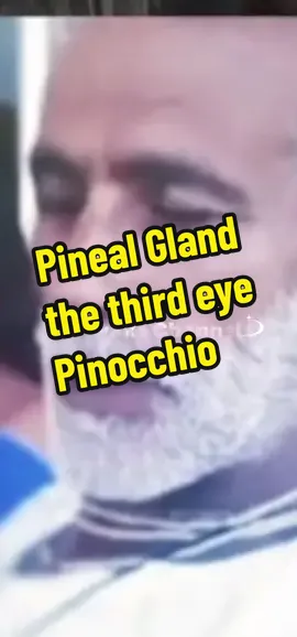 Pineal Gland the Third Eye - Pinnochio Story #beawakechannel #pinealgland #thirdeye #pinnochio #controversial 