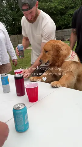 Wally had the time of his life playing wiffle ball with all his friends. Just bring the dog 🥹 #goldenretriever #dogs #doglovers #dogsarefamily #dogobsessed #Summer #dogparents #dogmom #dogdad #goldenretrieverlife #goldenretrieversoftiktok 