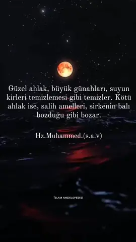 Hz.Muhammed (S.A.V)