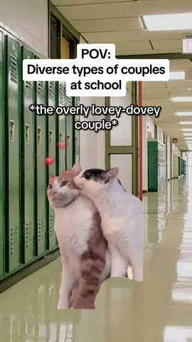 Diverse types of couples at school #catmemes #realatable #Relationship #couple #boyfriend #girlfriend 