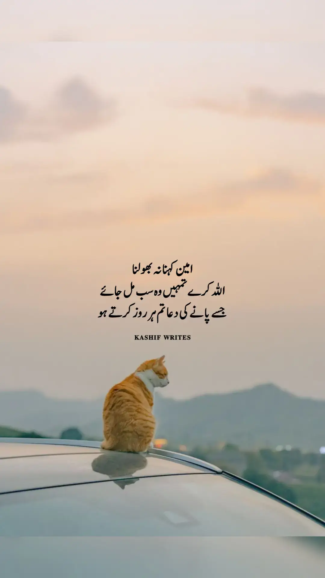 aMeen ❣️#1millionaudition #viralditiktok #tiktokpakistan🇵🇰 #foryoupage #poetrystatus #viraltiktok #foryou #viralvideo 