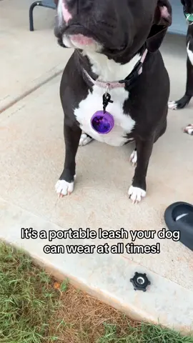 Such a cool product i cant wait to get more! #dog #dogtok #leash #fyp #foryoupage 