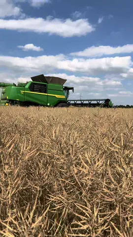 NEW JOHN DEERE T6 800 in Czech 🇨🇿   #harvest #combine #johndeere #strom #agriculture #tractor #pourtoi #foryou
