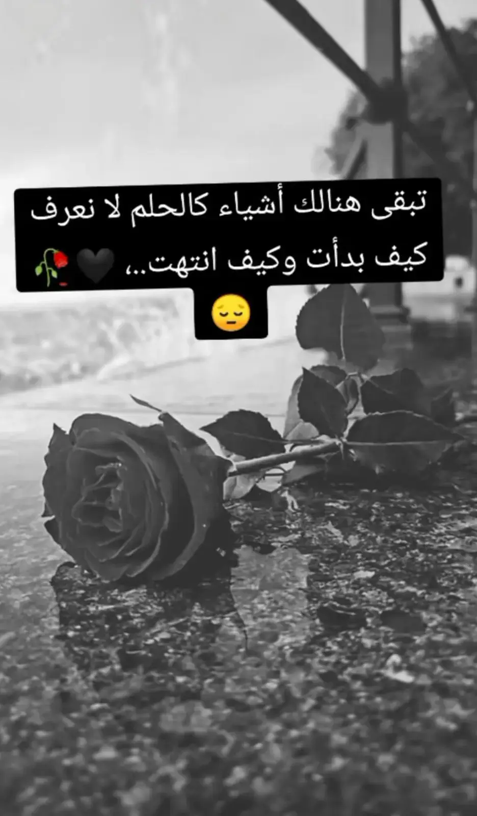 #مجرد________ذووووووق🎶🎵💞 #meme #ستوريات #حياه #جروح_الصمت🥀🖤 #اضنه #capcut #عيبارت_جميلة🖤🙂 #هدوء_الليل #fyp #tiktok #شعور_مؤلم #ترند_جديد ##ترند_جديد 