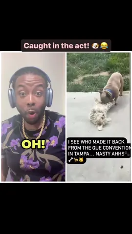 He was going to town!!! ⬆️😂😂😂 😈  —— Follow me on #TikTok @michaeljonvier2; #Instagram, #SnapChat, #YouTube, #Twitter @michaeljonvier —- #MichaelJonvier #heymikeyatl #fyp #foryourpage #explore  #explorepage #reaction #reactionvideo #mediapersonality #TikToker #YouTuber #journalist #duet   #reelsinstagram #facebookreels #dog #dogreels #dogsofinstagram #dogstagram #funny #funnyvideos #funnyreels #petreels #petstagram #petsofinstagram 