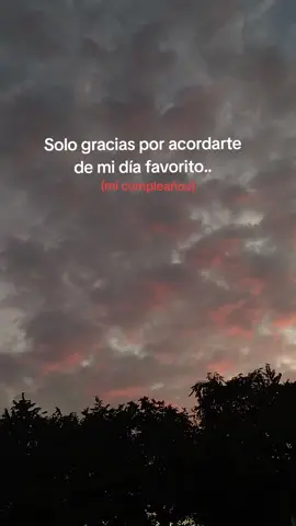 Gracias ❤️‍🩹