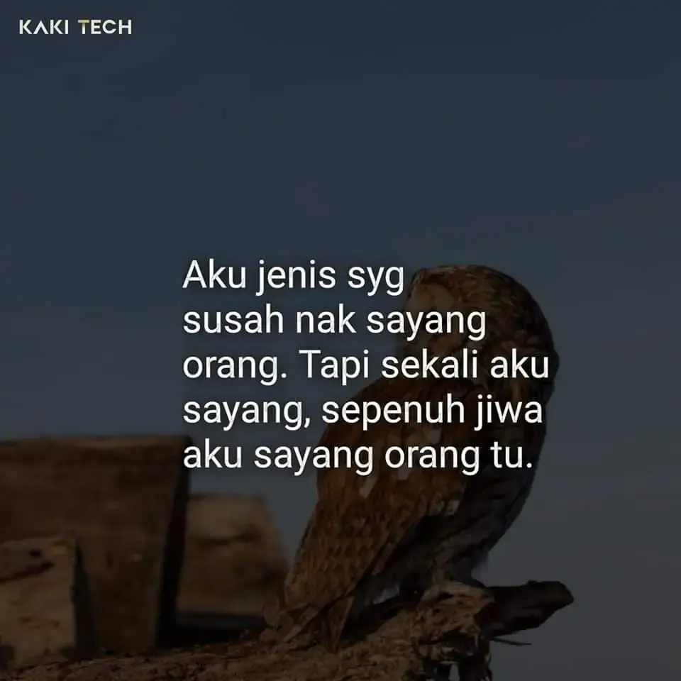 #SepenuhJiwa