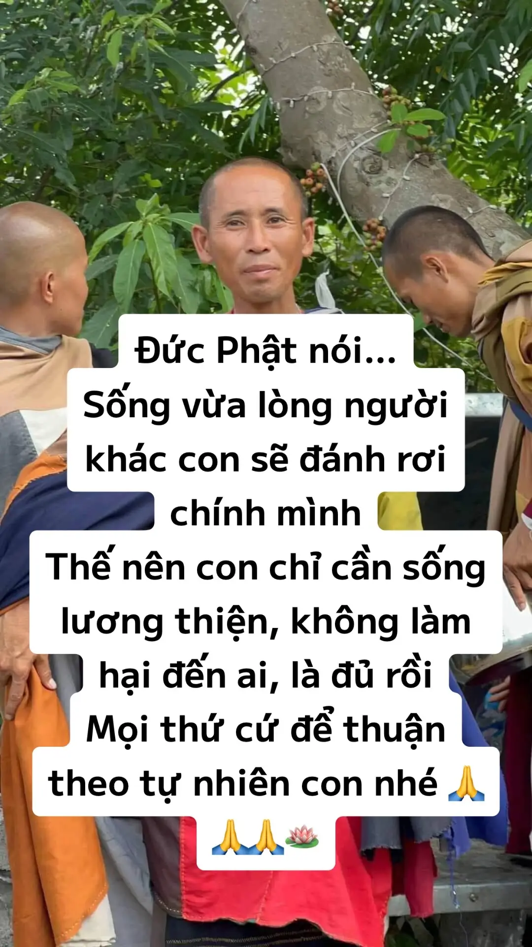 Mọi thứ cứ để thuận theo tự nhiên con nhé 🙏🪷#phậtphápnhiệmmầu #lờiphatday🙏 #thaythichminhtue #xuhuongtiktok 