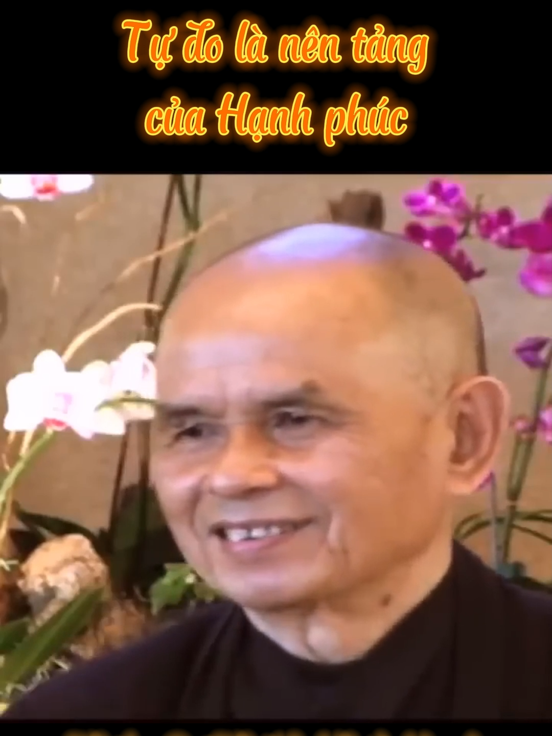 Tự do là nên tảng của Hạnh phúc. Thiền Sư Thích Nhất Hạnh #thiensuthichnhathanh #thichnhathanh #thaythichnhathanh #suonglangmai #thiendinh #nghephap #tutap #nhungcaunoihay #ynghiacuocsong #songkhoe #daophat #phatphap #phatgiao