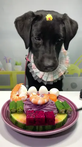 #labrador #Foodie #pets #dog #cute 
