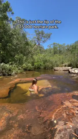 happy place 🌞 names of the sites in this video shown at end 💛 #australia #nsw #sydney #travel #Summer #nationalpark 