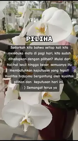 Hidup itu pilihan, kamu yang saat ini adalah hasil dari pilihan dan keputusan di masa lalu. Yuk, lebih bijak dalam memilih :) #pilihan #pilihanhidup #motivasi #motivasihidup #psikologi #peoplechange  #survivorkehidupan 