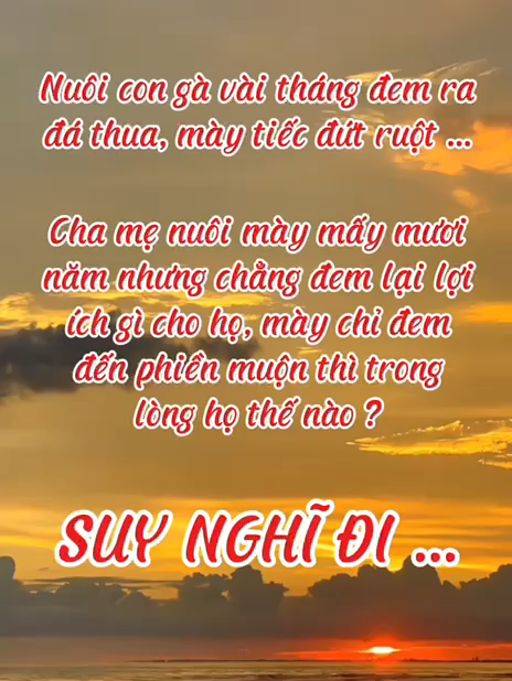 Không hiểu mày đang nghĩ gì ? #xuhuong #xuhuong2024 #fyp