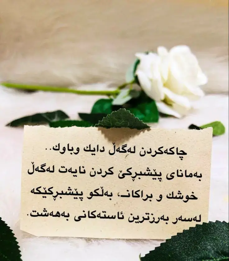 #سبحان_الله_الحمدلله_لااله_الا_الله #سبحان_الله_وبحمده_سبحان_الله_العظيم #viraltiktok #foryou #foryou #foryou #foryou #foryou #viraltiktok #viraltiktok #foryoupage #سبحان_الله_وبحمده_سبحان_الله_العظيم #قورئان_ئارامی_دڵان🕋📿خودایە_لێمان_خۆشبە #ڤیدیۆی_نوێ_ #viraltiktok #foryoupage #foryoupage #foryou #foryou #هەولێر_سلێمانی_دەهۆک_ڕانیه_کەرکوک #هەولێر_سلێمانی_دەهۆک_ڕانیه_کەرکوک #هەولێر_سلێمانی_دەهۆک_ڕانیه_کەرکوک #وتەی_جوان #ڤیدیۆی_نوێ_ #viraltiktok #ڕانیە_سلێمانی_کەرکوک_هەولێر_قەڵادزێ #foryou #foryou #foryou #foryou #foryou #foryou #foryou #foryou #ئەکتیڤبن🥀🖤ـہہـ٨ــہ #ڤیدیۆی_نوێ_ #viraltiktok #foryou #foryou #foryoupage #foryou #foryou #هەولێر_سلێمانی_دهۆك_ڕانیه_کەرکوک_زاخۆ #اکبلسوار❤❤ #ڤیدیۆی_نوێ_ #viraltiktok #foryoupage #هەولێر_سلێمانی_دەهۆک_ڕانیه_کەرکوک #هەولێر_سلێمانی_دەهۆک_ڕانیه_کەرکوک #هەولێر_سلێمانی_دهۆك_ڕانیه_کەرکوک_زاخۆ #ڕانیە_سلێمانی_کەرکوک_هەولێر_قەڵادزێ #foryoupage #ئەکتیڤبن🥀🖤ـہہـ٨ــہ #foryoupage #وتەی_جوان #وتەی_جوان #ڕانیە_سلێمانی_کەرکوک_هەولێر_قەڵادزێ #foryoupage #foryou #foryoupage #foryou #foryou #foryou #foryoupage #foryou #foryou #foryou #foryou #foryou #اکبسلوررررررر😘 #ڤیدیۆی_نوێ_ #ڕانیە_سلێمانی_کەرکوک_هەولێر_قەڵادزێ #هەولێر_سلێمانی_دەهۆک_ڕانیه_کەرکوک #هەولێر_سلێمانی_دهۆك_ڕانیه_کەرکوک_زاخۆ #ڤیدیۆی_نوێ_ @TikTok 