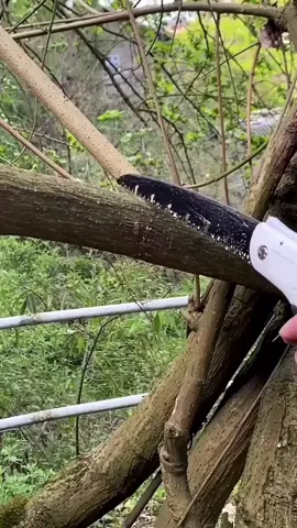 #fyp #foryou #tiktokmalaysia #household #LifeHack #foldingsaw#hacksaw#pruningsaw#practical 