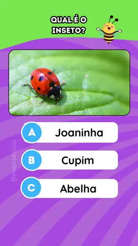 Qual é inseto - #quiz #insetos #qualeoinseto #perguntas #animais #adivinha