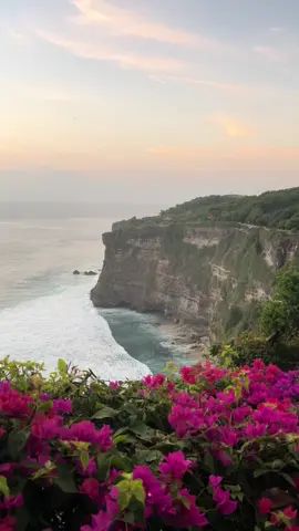 #salpriadi #galabungamatahari #pantai #senjavibes #anaksenja #senja #foryou 