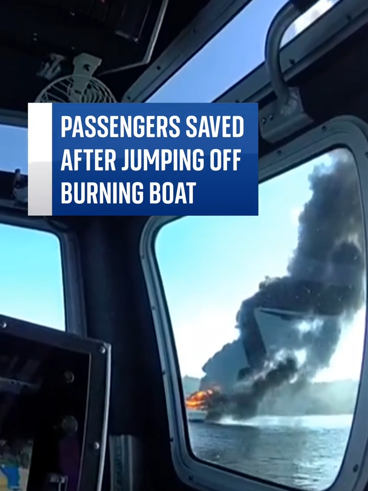 A group of people and their #pet #cat were rescued from burning boat in #Tacoma, #Washington