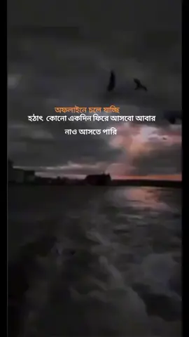 সবাইকে অনেক বিরক্ত করেছি মাফ করে দিয়েন#foryoupage #iloveyou #typ #trynottolaughtiktoktv #copylink #foryou 