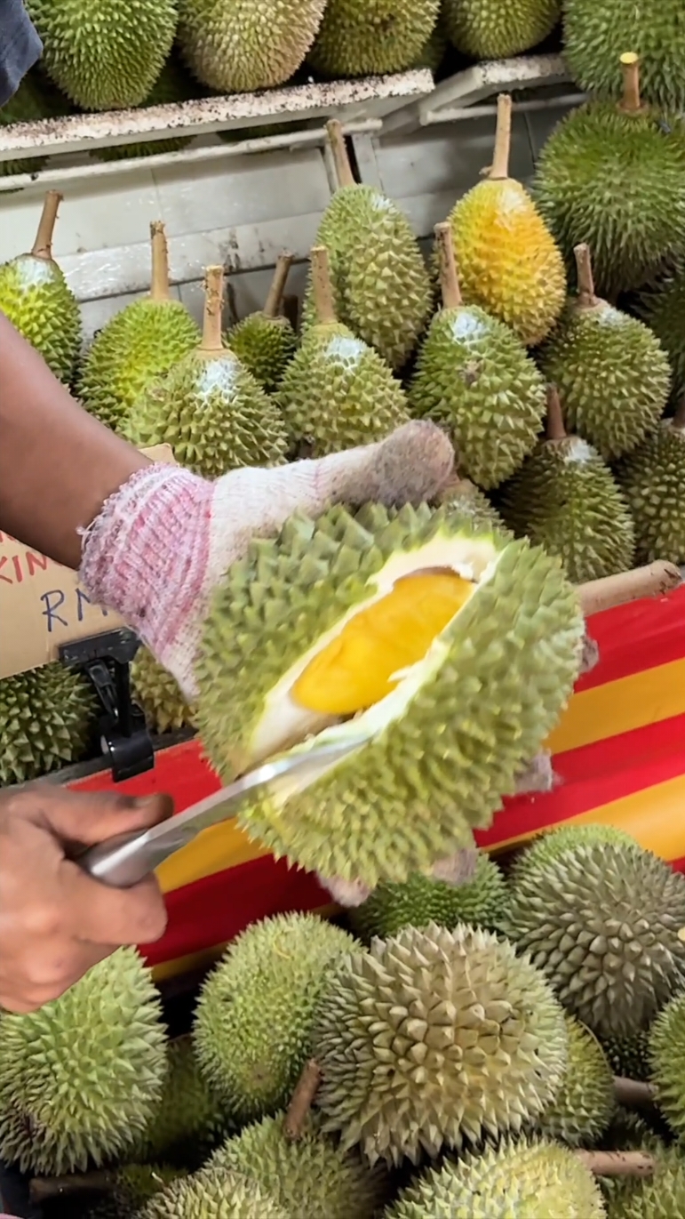 Wow! Smell of Hell and Taste of Heaven! King of Fruits Durian! - fruit cutting skills! #fruit  #Durian  #FYp 