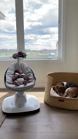 MamaRoo® 5 – your baby’s new favourite ride! 👶✨ With five unique motions inspired by the way you naturally sway and bounce, it’s the ultimate soothing experience. From car ride to tree swing, find the perfect motion to keep your little one happy and relaxed. 🚗🌳 Plus, with smart-home features like Bluetooth and voice control compatibility, it’s easy to adjust from anywhere in your home. Discover the magic of personalised comfort for your baby! 💖 #MamaRoo5 #SoothingMotions #BabyComfort #parenthood #babyessentials 