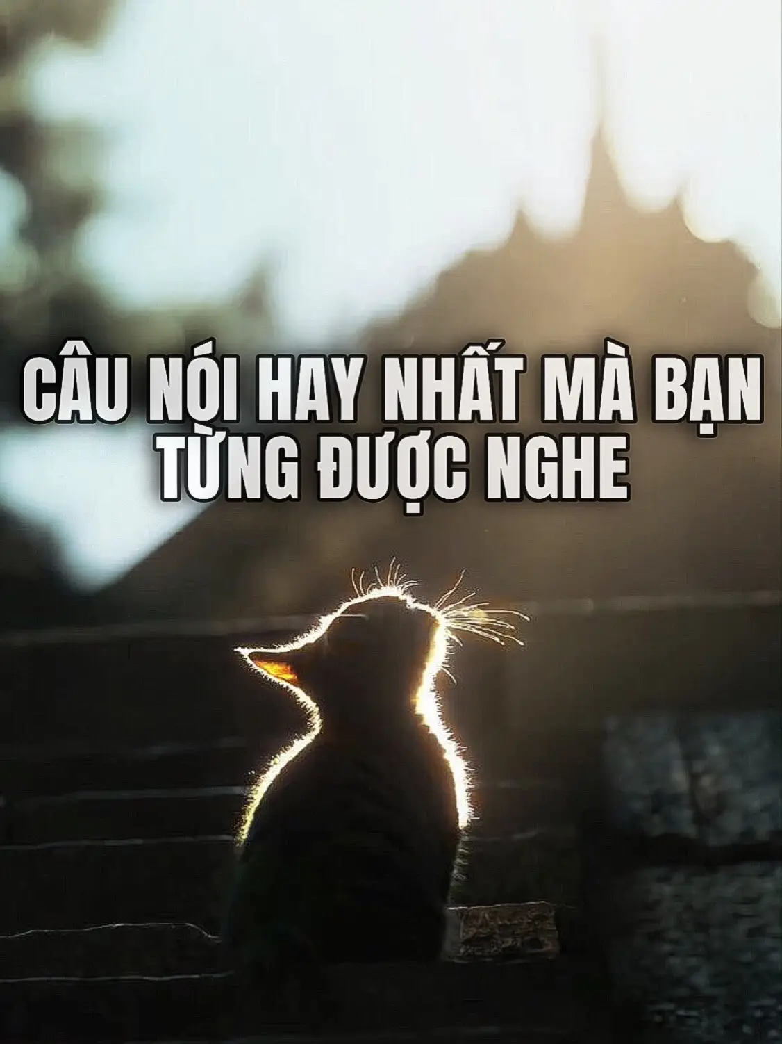 hãy tha thứ #moingaymotcauchuyen #vuong_doan09 