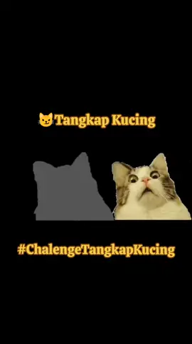 😼Chalenge Tangkap Kucing #lucu #lucu_ngakak #lucuabis #Game #Gamer #lucubanget #lucubanget #lucutiktok #Ngakak #Chalenge #chalengetiktok #Fyp #fypシ #fypシ゚viral #viraltiktok 