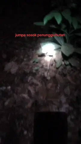 jumpa makhluk tak kasat mata.... saat berburu kancil #horror #tesmental  #menyeramkan  #hutanlarangan  #edisiberburu #selasakliwon 