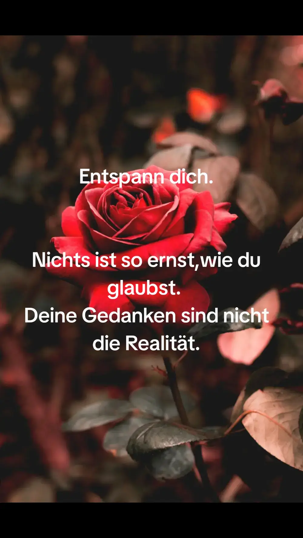 #entspann #dich #foryoupage #zitate #foryou #ernst #gedanken #realitytv #bewusstsein 