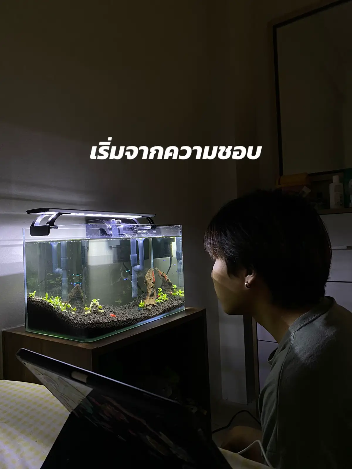 ตอนนี้เป็นอาชีพที่ทำและมีความสุขสุดๆๆๆๆ  #fyp #fishtank #ตู้ไม้น้ำ #aquascape #fishtok #ตู้ไม้น้ําของฉัน #ใจฟู #homedecor #อุปกรณ์ตู้ปลา #shrimp #เคล็ดลับสัตว์เลี้ยง 