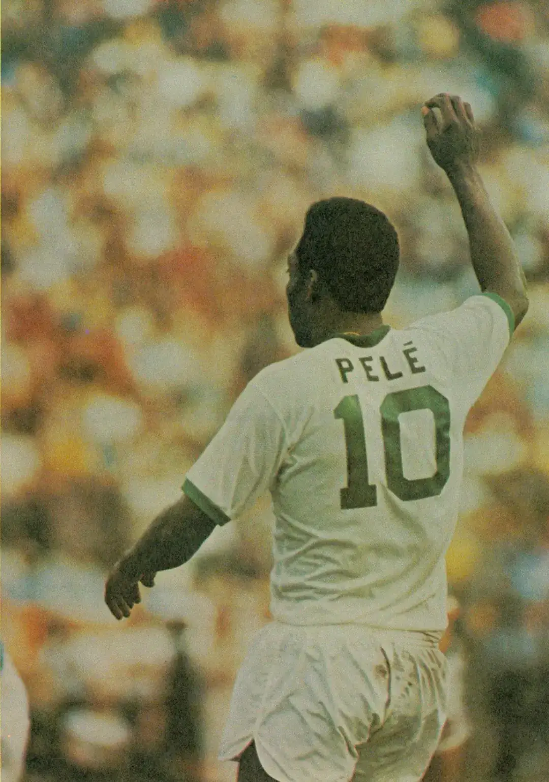 #wallpaper #futebol #football #fyp #pelé 