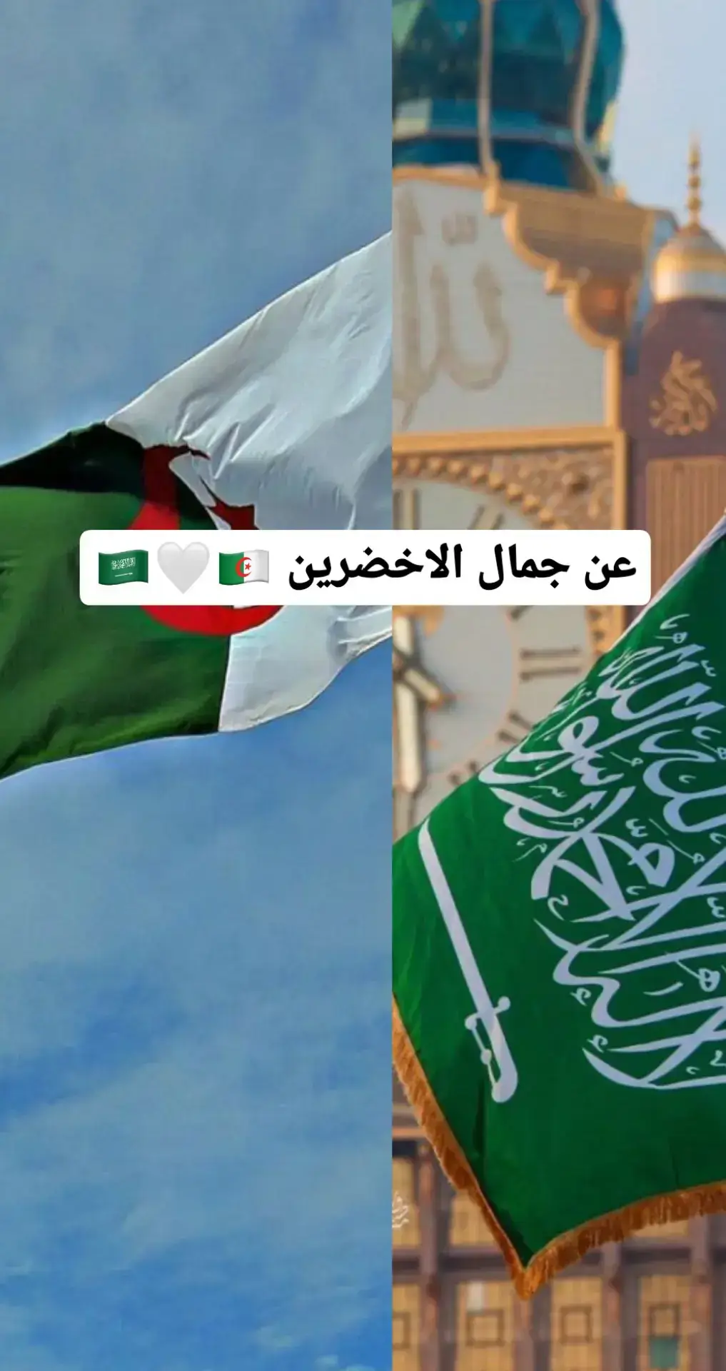 #السعودية🇸🇦 #الاخضرين🇩🇿🇸🇦 #الجزائر🇩🇿 #fypシ #احبكم #fybbbbbbbbbbbbbbbbbbb #foryoupage #fyppppppppppppppppppppppp 