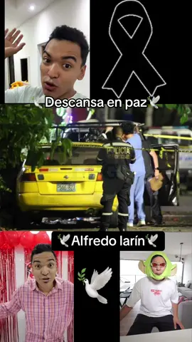 🚨🕊️🚨
