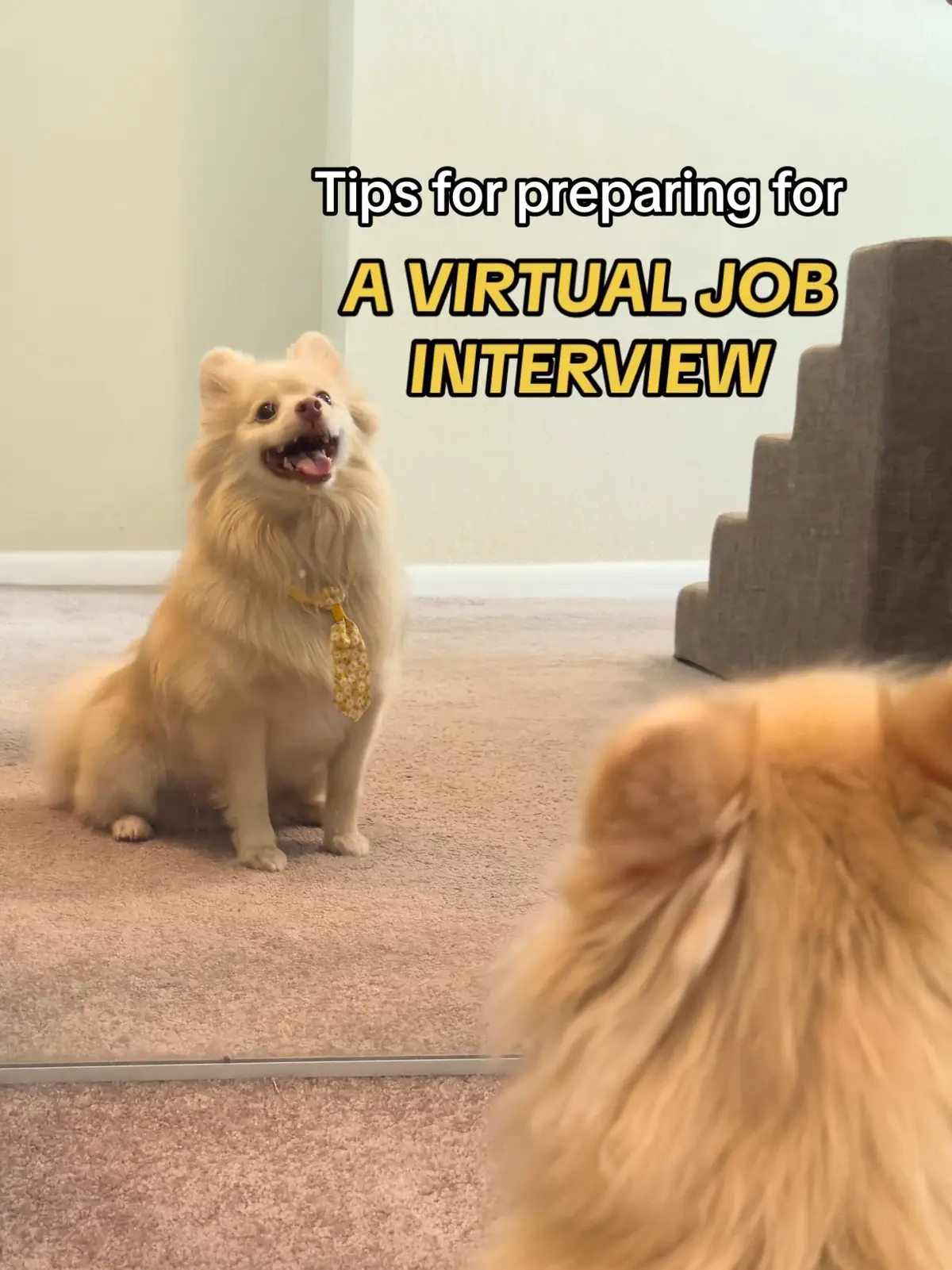 Take it from this distinguished gentleman — you should still dress to impress the hiring manager. Swipe to see other ways to nail that virtual job interview. #InterviewTips #InterviewPrep #JobSearch #CareerAdvice #InterviewAdvice #CareerTikTok