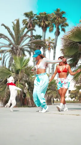Who did it better: girl$ 💃🏽 or Bon Bon 🐶? 😅  🎵: Girl$ @Dom Dolla 