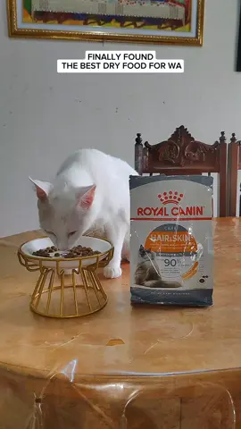 ROYAL CANIN HAIR AND SKIN 400g | ROYAL CANIN | ROYAL CANIN HAIR AND SKIN CAT FOOD #royalcanin #royalcaninurinarycare #catfood #catdryfood #vetrecommended #royalcaninfood #cat #catsoftiktok #cats #catlover 