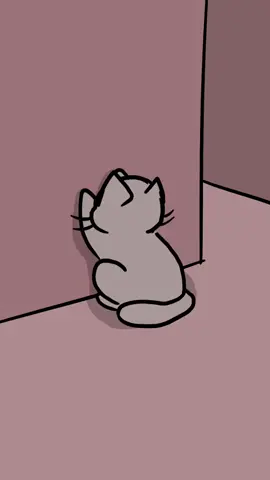 #cat #scratch #hidinginthewall #cute 