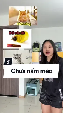 Mọi người đã bị lây nấm mèo bh chưa 🤧 #thaomeo #meocheck #mèo #nammeo #meo 